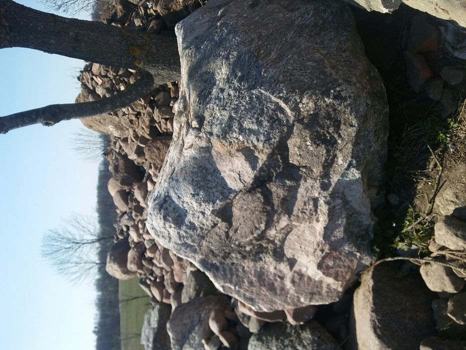 Kamień polny łupany