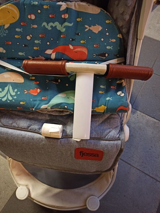 Spacerówka fjessa