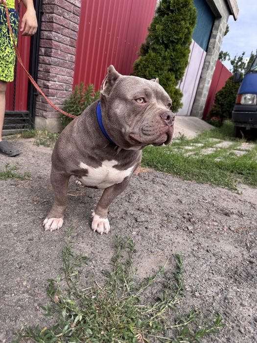 Пропоную на вʼязку