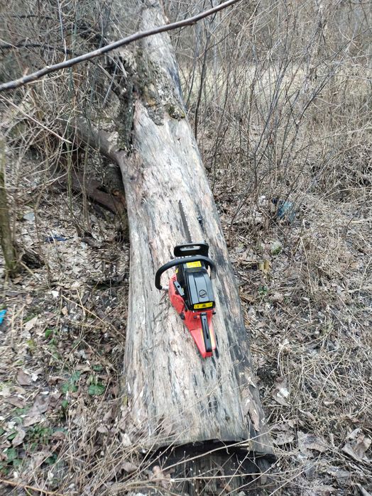 Стовбур груші під слеби