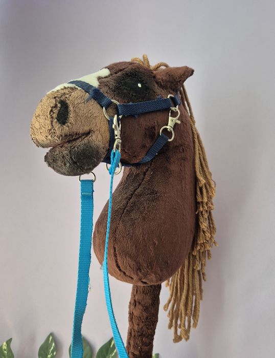 Hobby Horse A4 zestaw