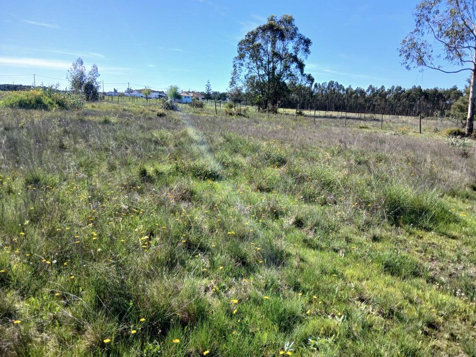 Terreno Rustico  Aluga