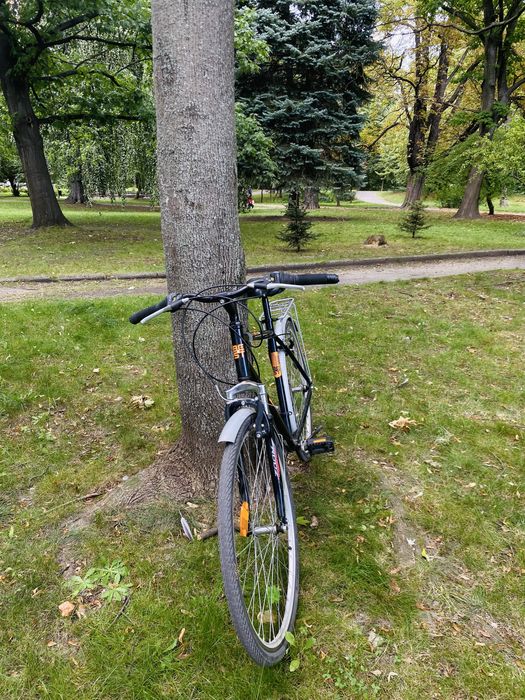 Rower miejski trekker MX