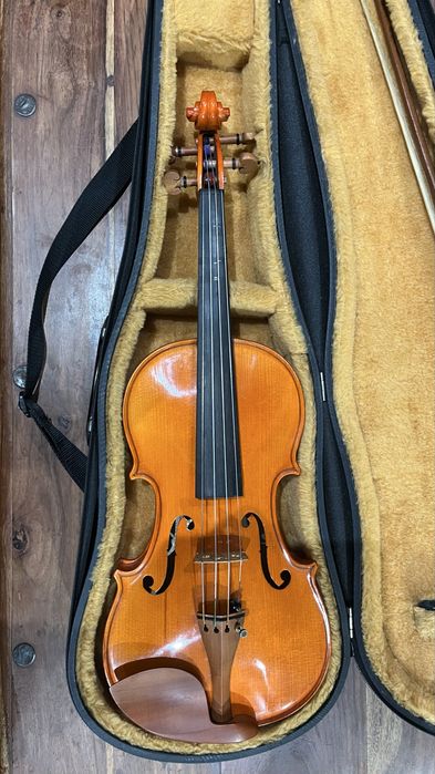 Violino 4/4 Strunal — República Checa