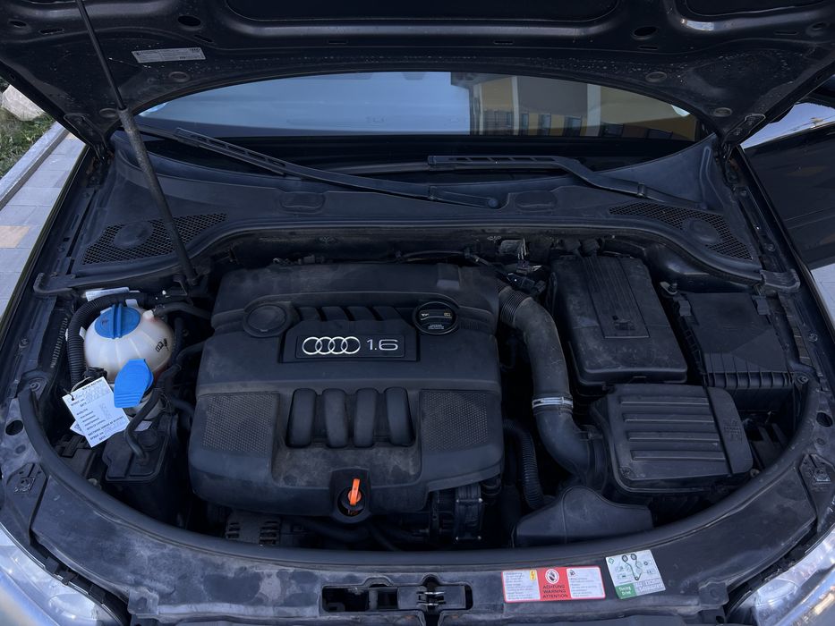 Audi A3 2008 • 1.6 8V 5-ти ступенева КПП