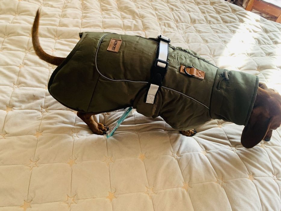 Дощовик куртка для собаки ActivPet розмір XL (підійде для різних порід