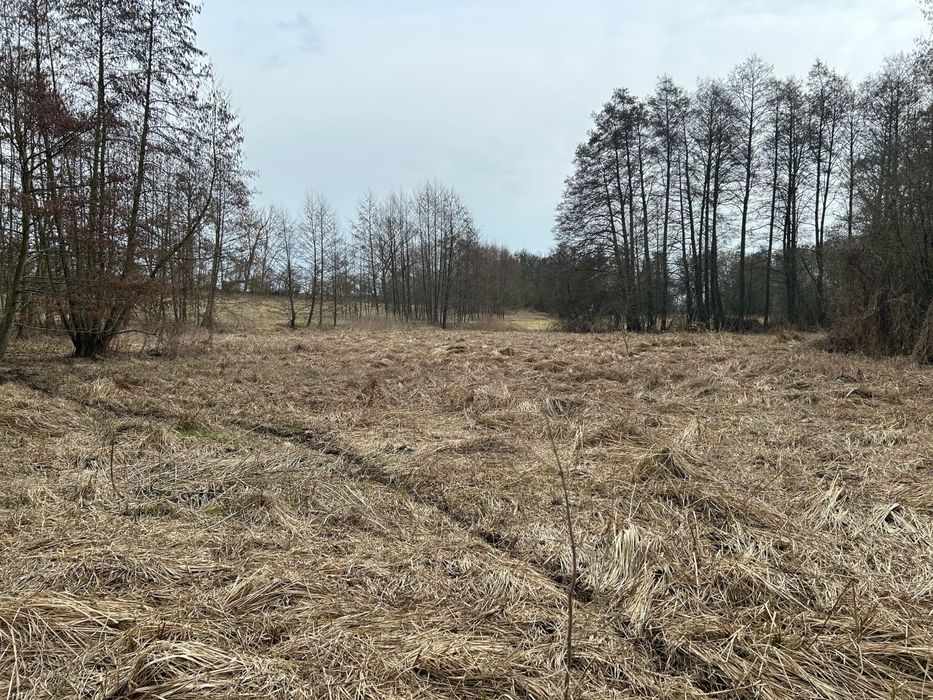 Działki budowlane Mickiewicza Pyrzyce