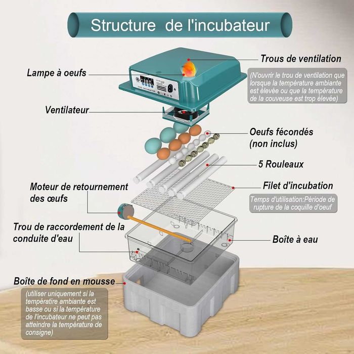 Автоматичний інкубатор CoInceptus для 12-16 яєць