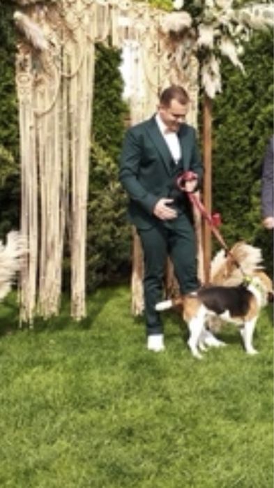 Костюм чоловічий темно-зелений, 50/4, 3300 грн