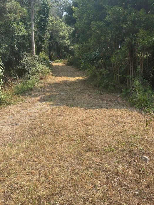 Limpeza e corte de mata e jardins