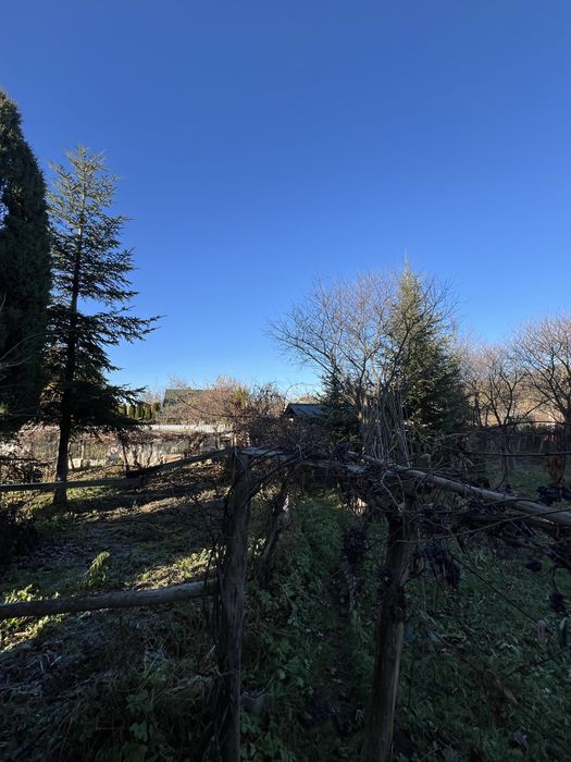 Калинка Велика за Підгайцями