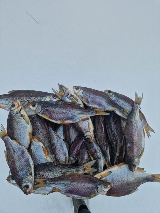 Раки живі раки приготовані раки на розплід