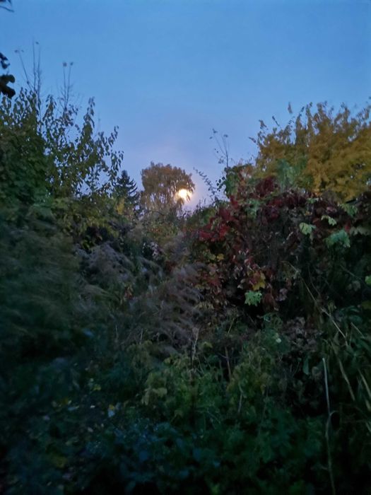 Житло пропоную  будинок 2 к.