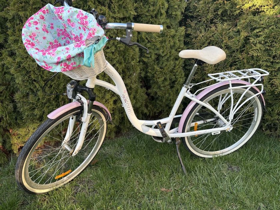 Rower storm Dublin 26"