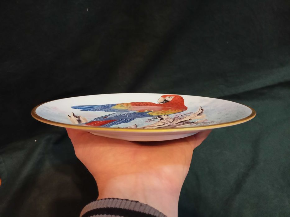 Prato Arara Escarlate Amazonas