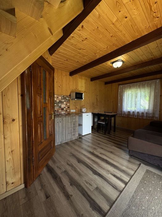 Котедж у Ворохті "Мізина "