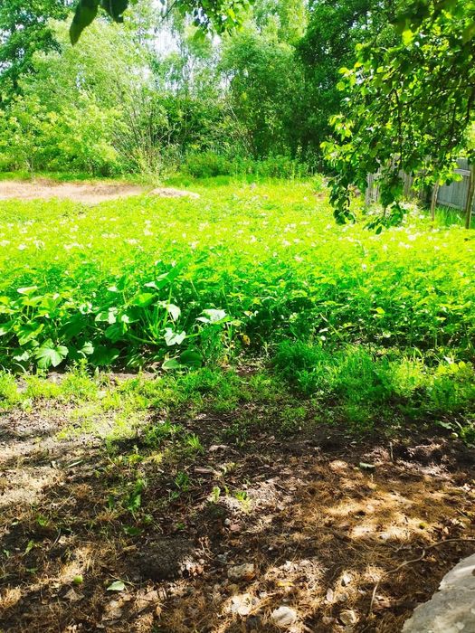 Продається пів будинку м.Сновськ