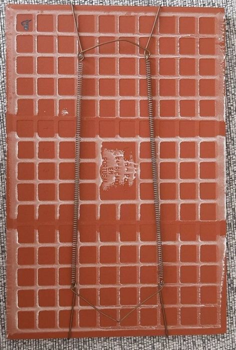 Quadro Sporting vidrado