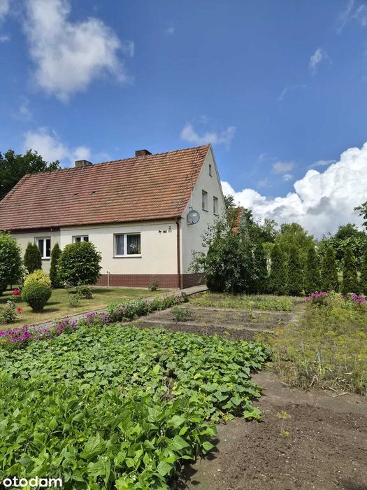 Dom – Borowina - Widok 3