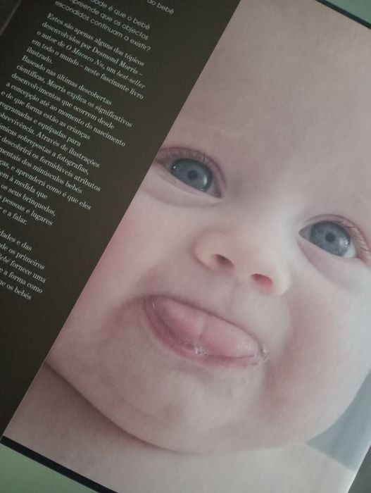 Livro Descobrindo O Seu Bebé