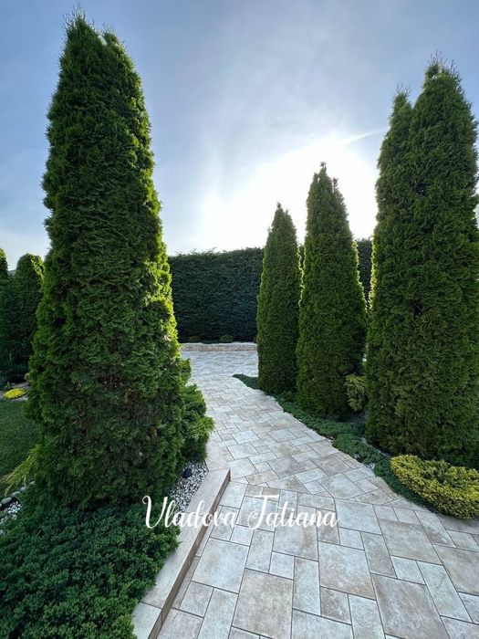 Будинок за адресою (площа 350 м²) - Atlanta.ua - фото 13