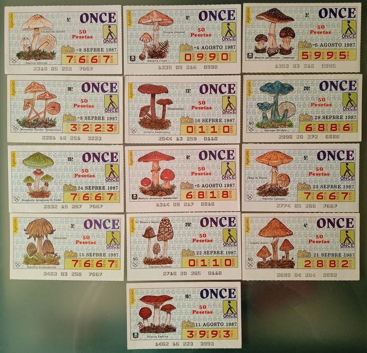 Cautelas com cogumelos
Cada lote, 15€ com envio em cor