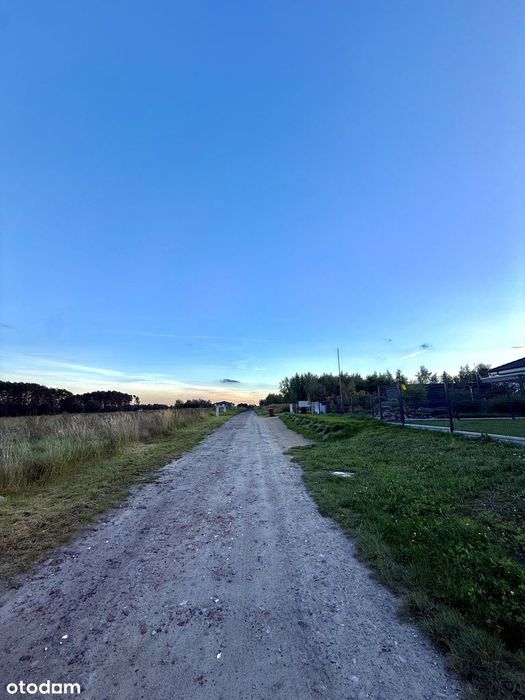 Zdjęcie 3
