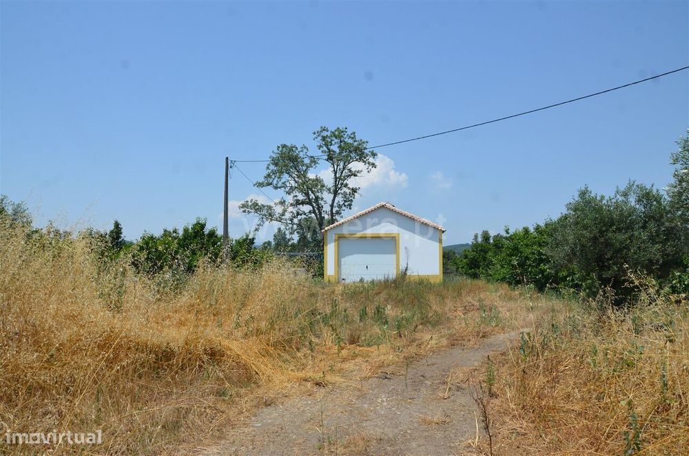 Terreno / Fundão, Salgueiro