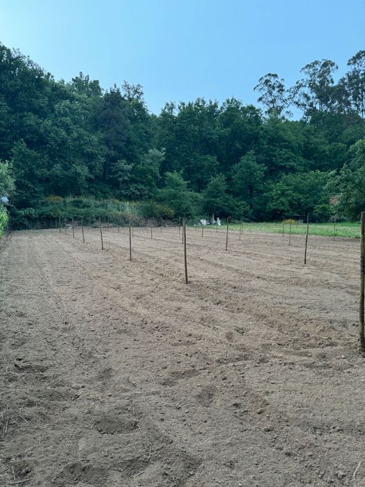 Terreno para Venda