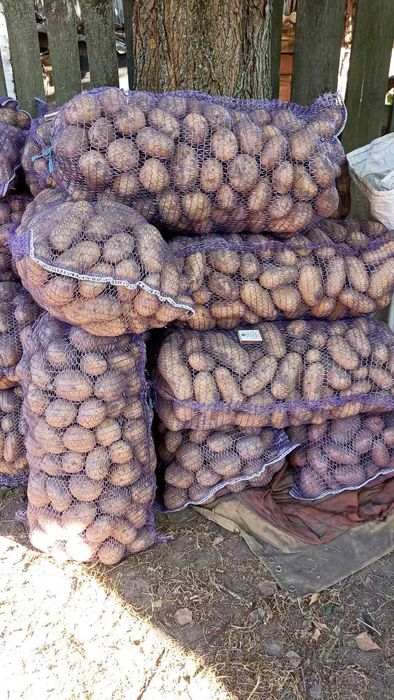 Домашня картопля в сітках