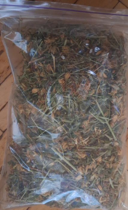 Продам сушені лікарські рослини