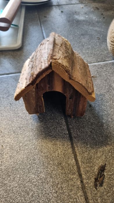 Artigos para hamster