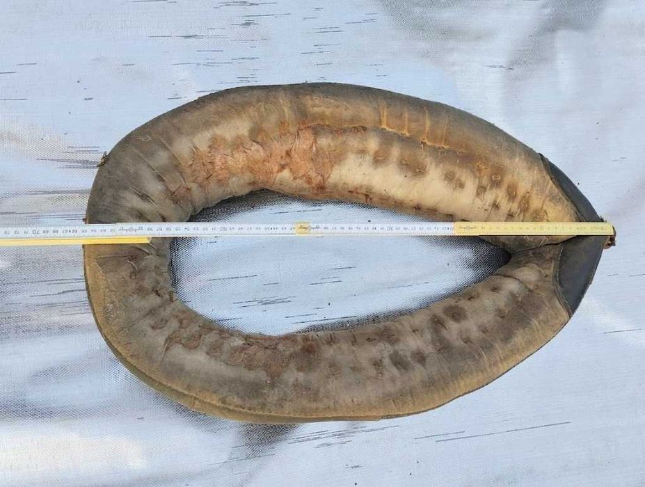 stara uprząż końska