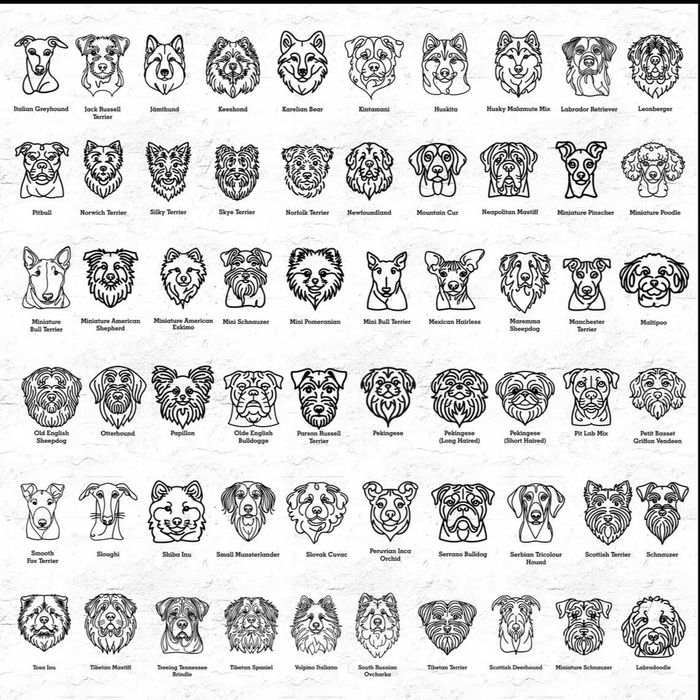 Identyfikator dla kota, aluminiowa grawerowana, srebrna 50x30mm