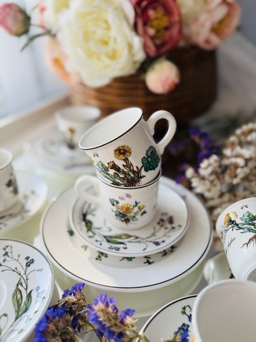 Botanica Villeroy&Boch trio filiżanka serwis komplet