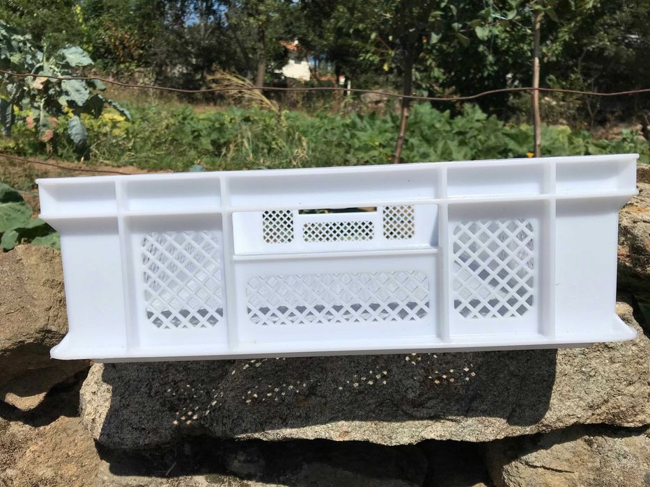 Pastries/Plastic Boxes (Grid-patterned Walls and Bottom – Length 60 cm)64551264771586124