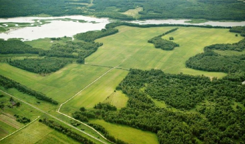 Технічний паспорт БТІ Вінниця, експертна оцінка, оформлення ЗЕМЛІ