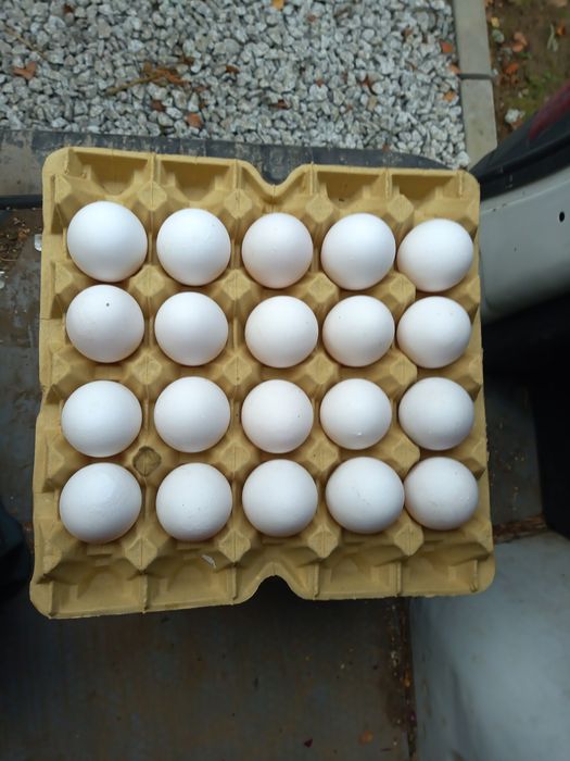 Dostawa warzywa i owoce z  własnego  gospodarstwa