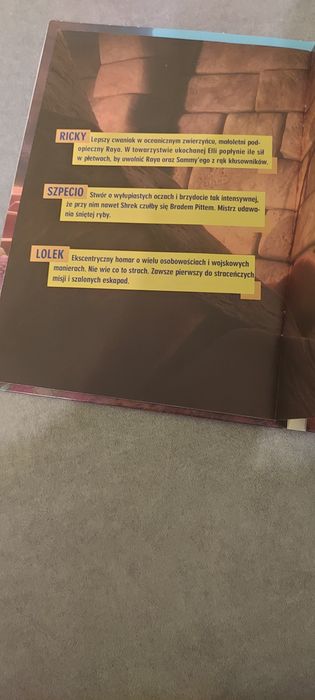 Żółwi Sammy 2 DVD