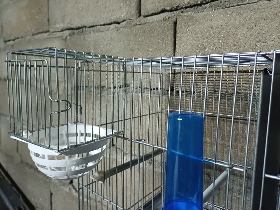 Gaiolas e acessorios- OFERTA IMPERDIVEL