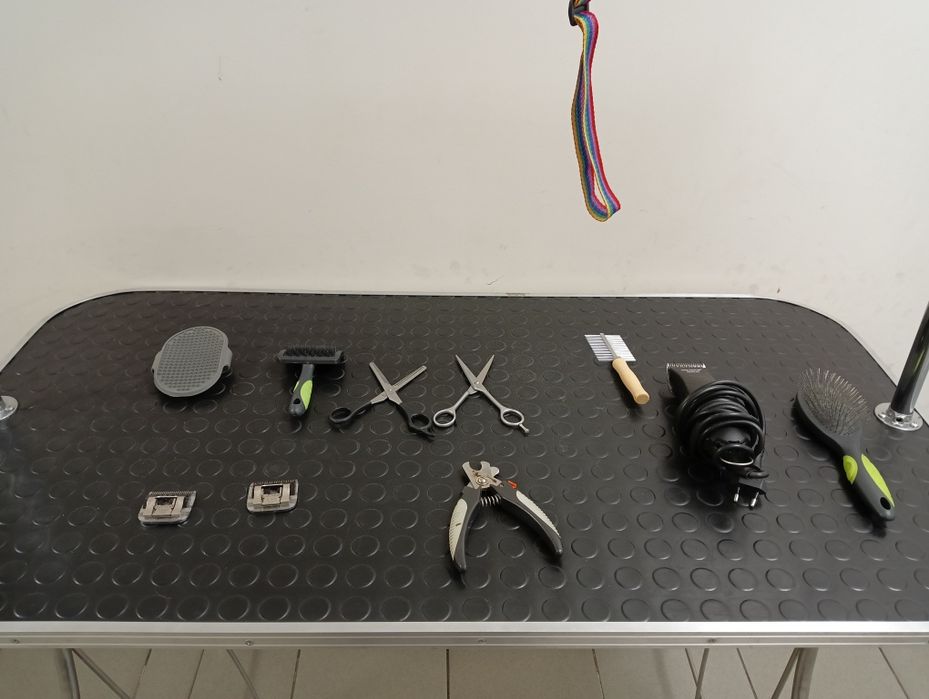 Stó sprzęt dla strzeżenia psów