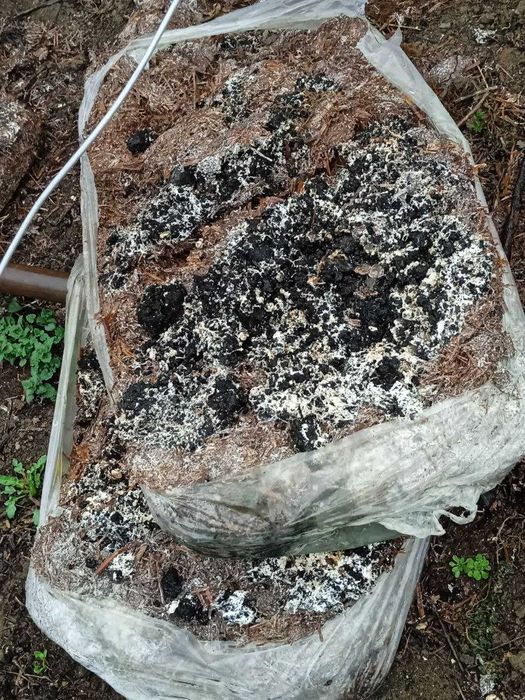 Відпрацьваний грибній компост (органічне добриво)