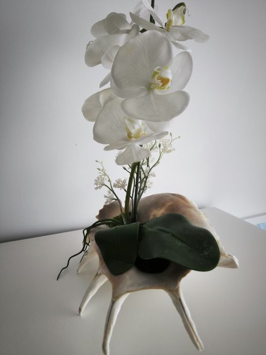 Decoração para casa novo