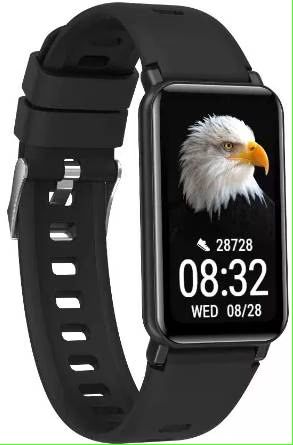 Смарт-часы Maxcom Fit FW53 Nitro Black