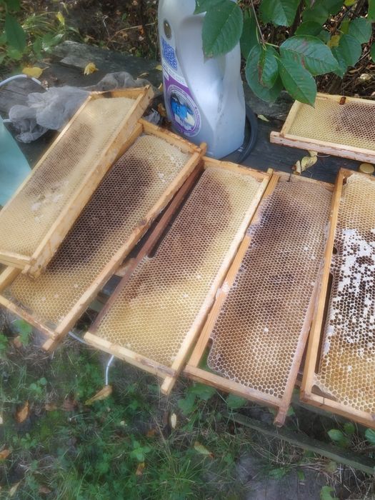 Продам суш на 145рамці