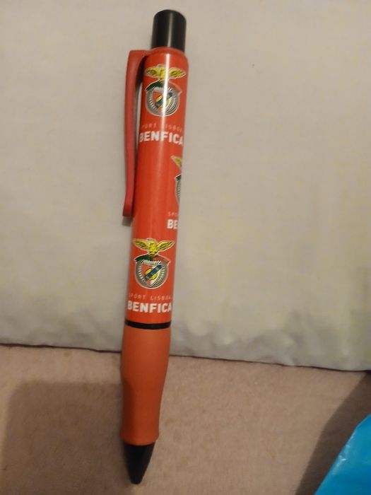 Vendo to isto do bemfica