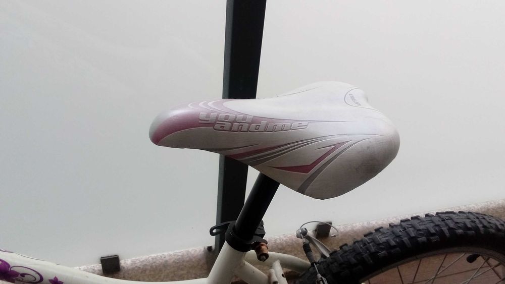 Bicicleta Vénus roda 20 para criança
