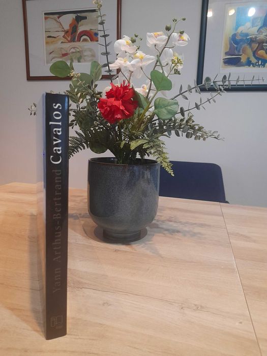 Cavalos, de Yann Arthus-Bertrand (LIVRO RARÍSSIMO)