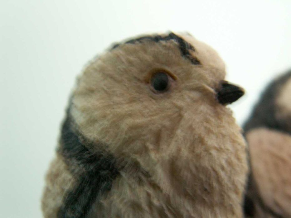 Ptaki - Raniuszek -The Country Bird Collection - Vogelwelt Collection