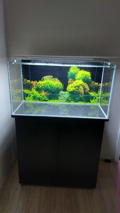 Akwarium optiwhite 145 l